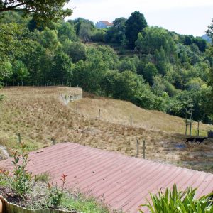 IQuinta-queimadela-queimadela_4091_Easy-Resize.com