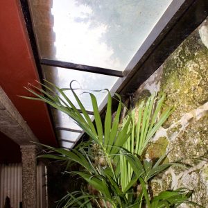 IQuinta-queimadela-queimadela_4092_Easy-Resize.com