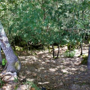 IQuinta-queimadela-queimadela_4116_Easy-Resize.com